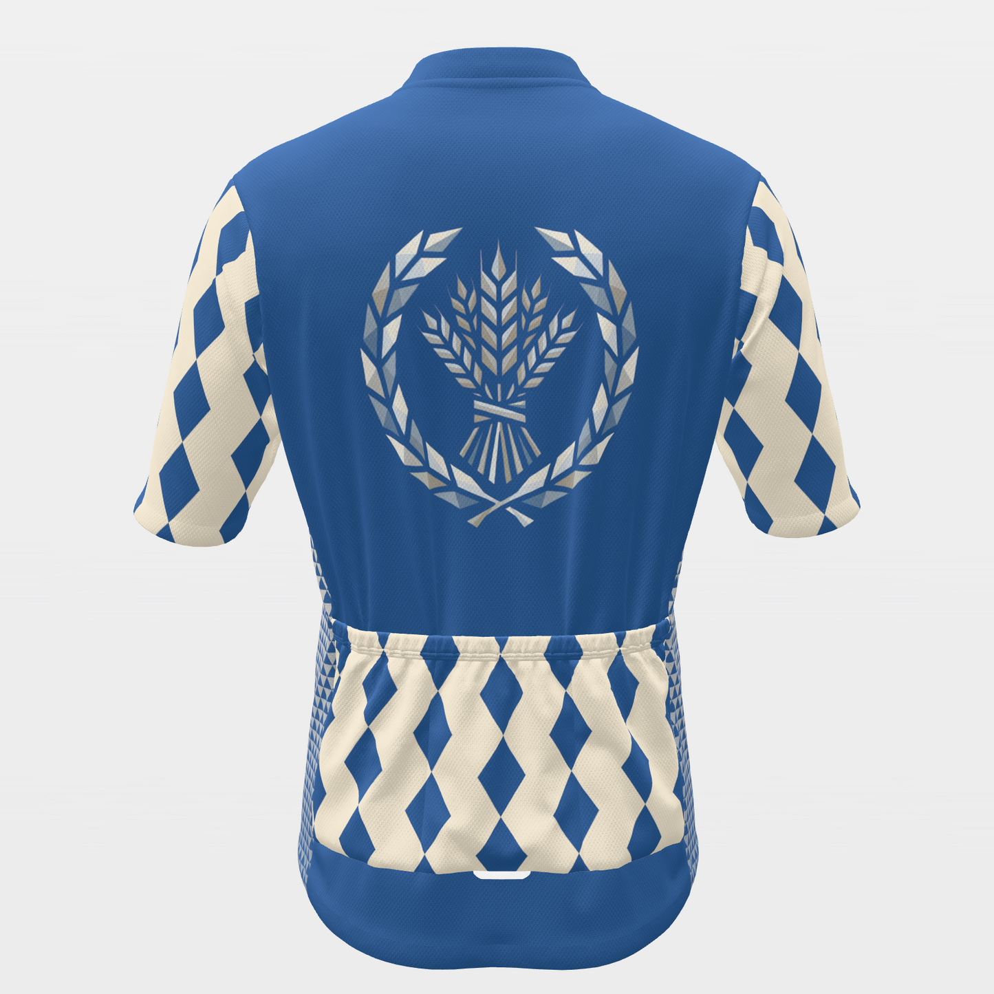 Bavarian Facet Fest Cycling Jersey – Back view