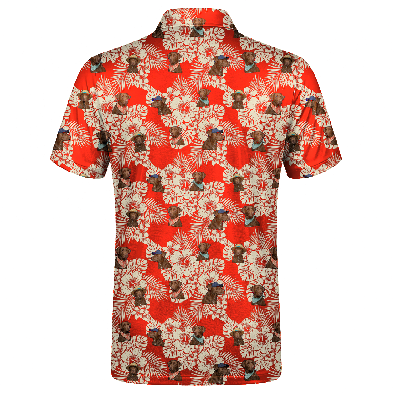 Aloha, Good Boy 01 – flat back