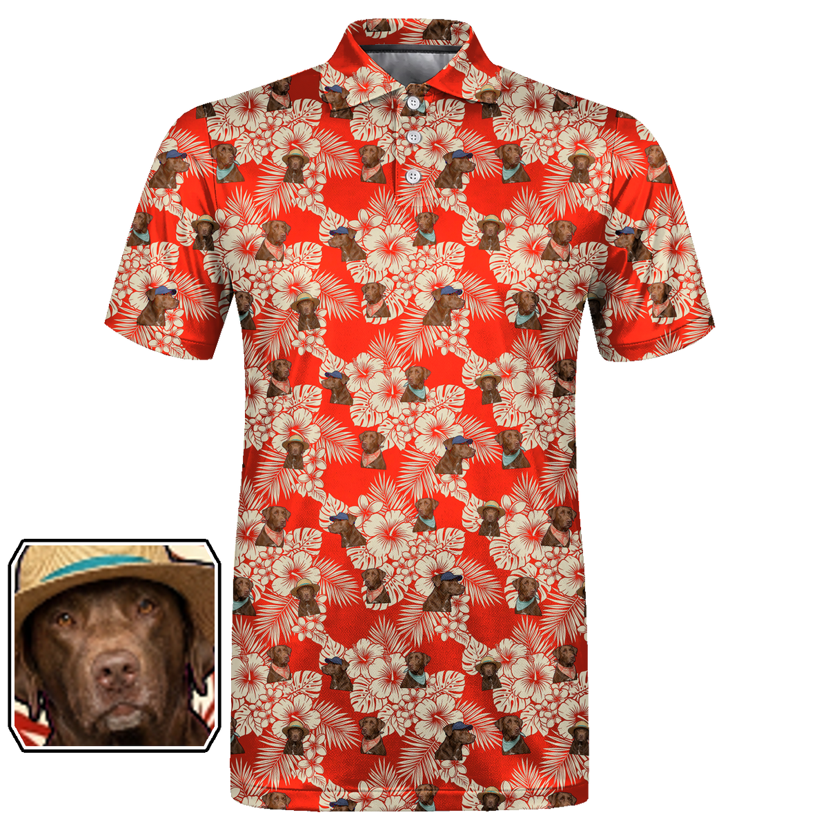 Aloha, Good Boy 01 – flat front