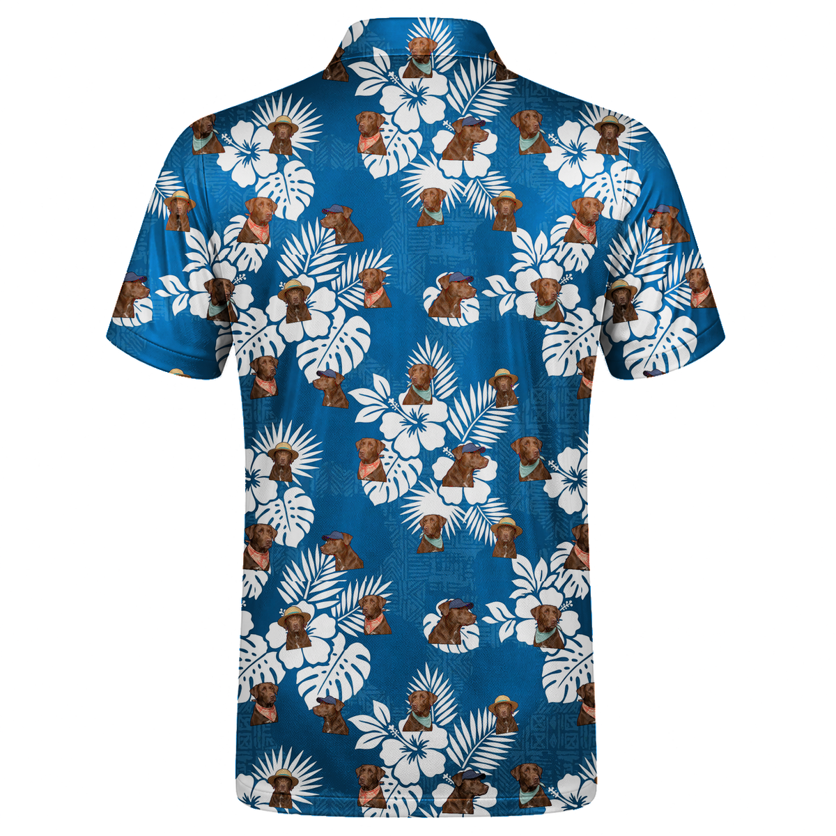 Aloha, Good Boy 04 – flat back