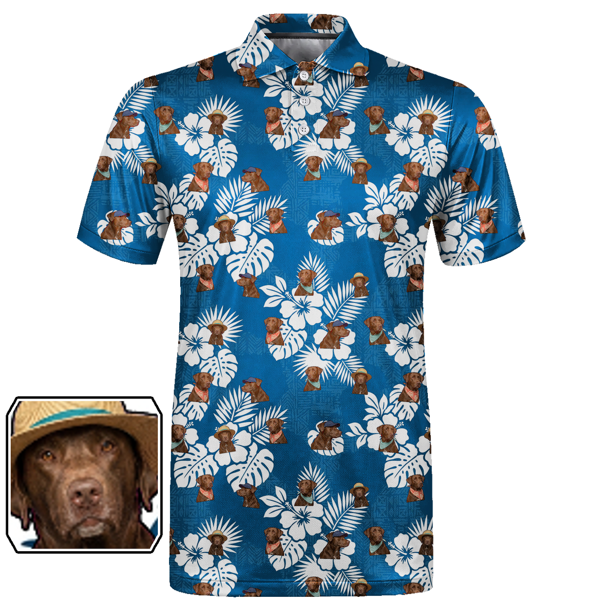 Aloha, Good Boy 04 – flat front