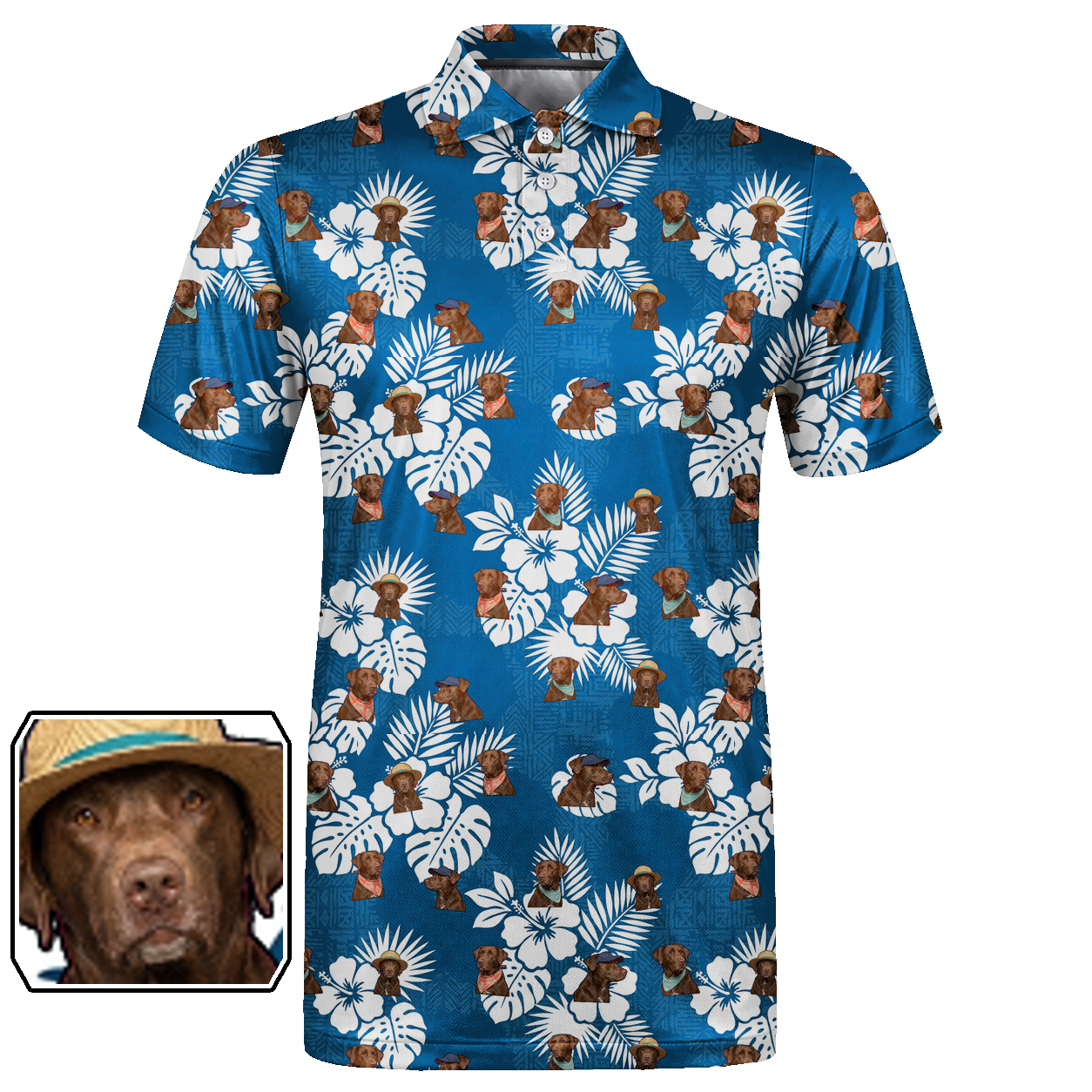 Aloha, Good Boy 04 – flat front