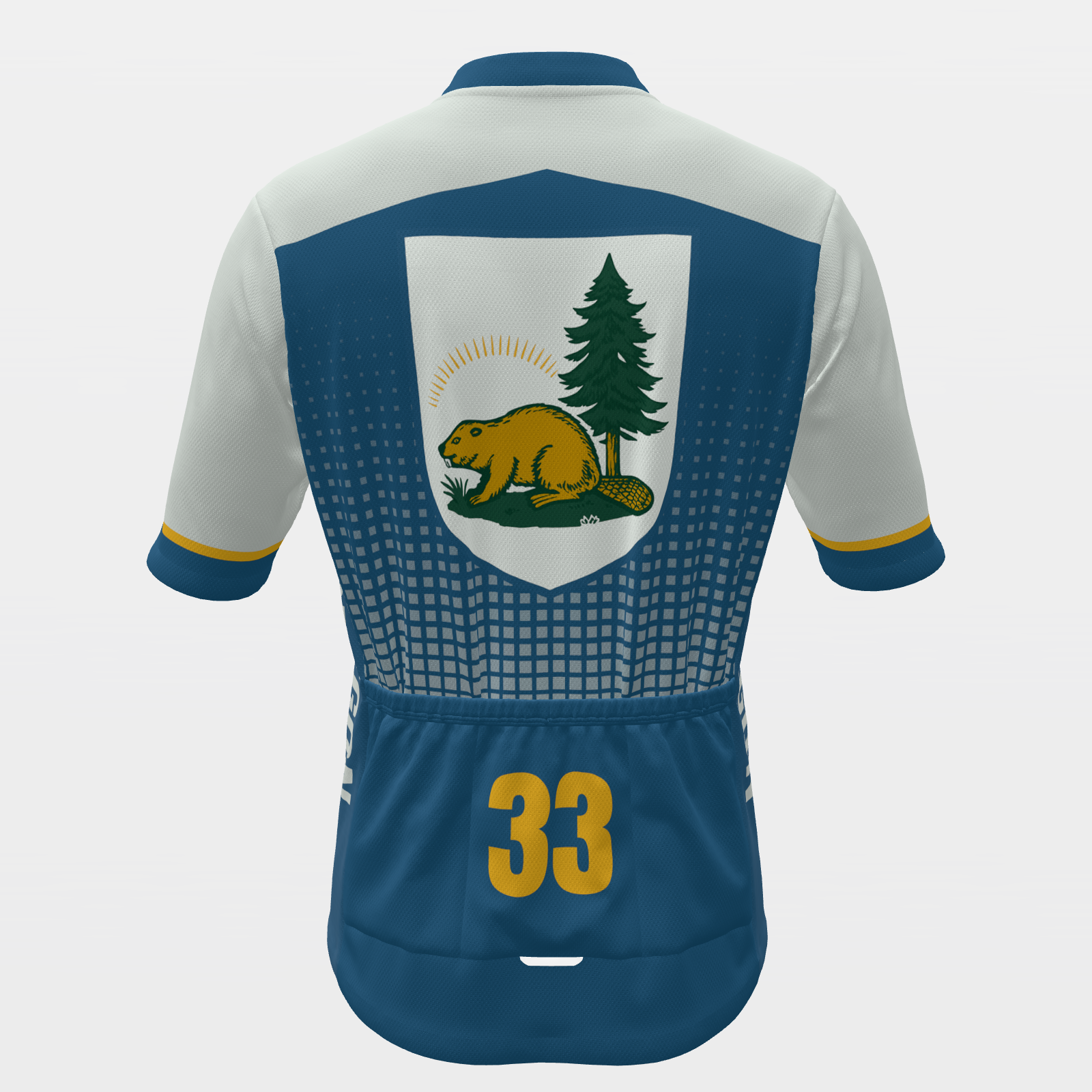 Oregon State Race Kit — modern speed-fade Cycling Jersey – Back view