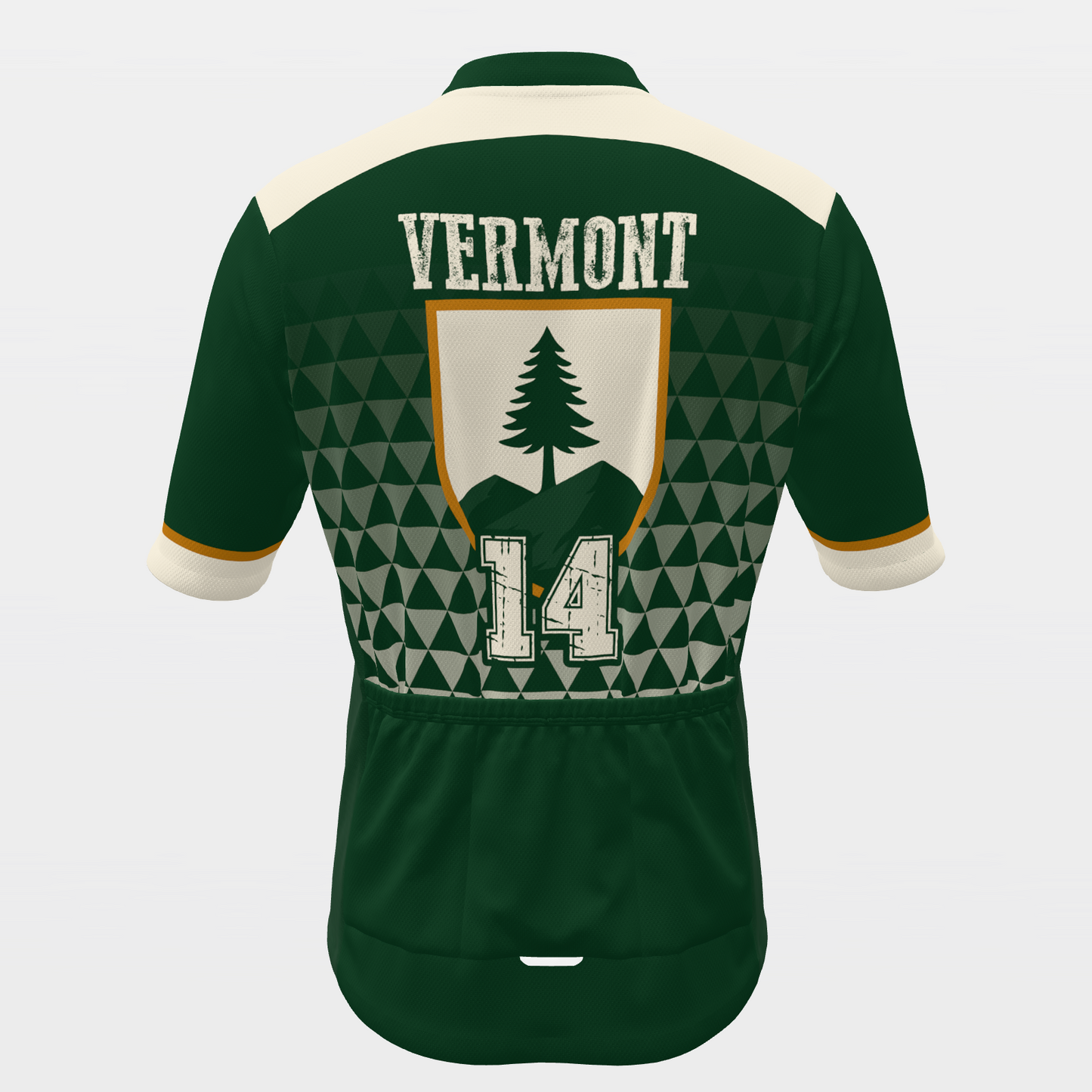 Vermont State Race Kit — modern speed-fade Cycling Jersey – Back view